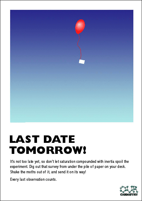 Last day: one red balloon with its envelope floating away in the sky
